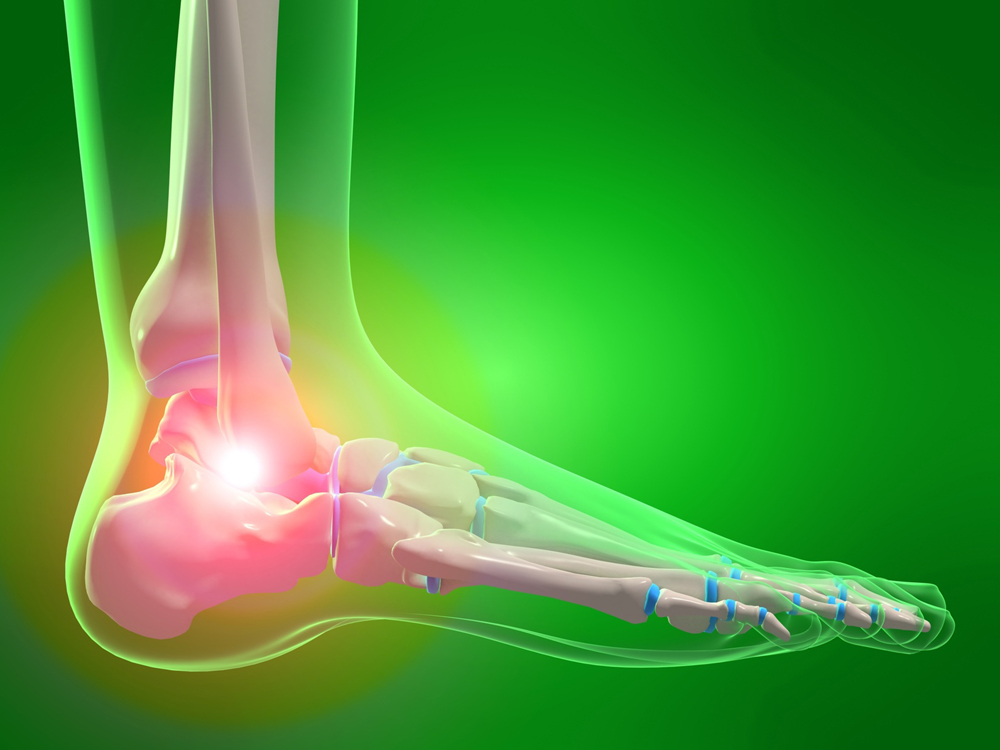 ankle1